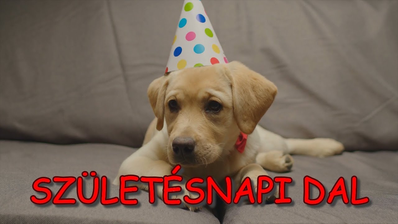 Oroszi Fanni - Születésnapi dal