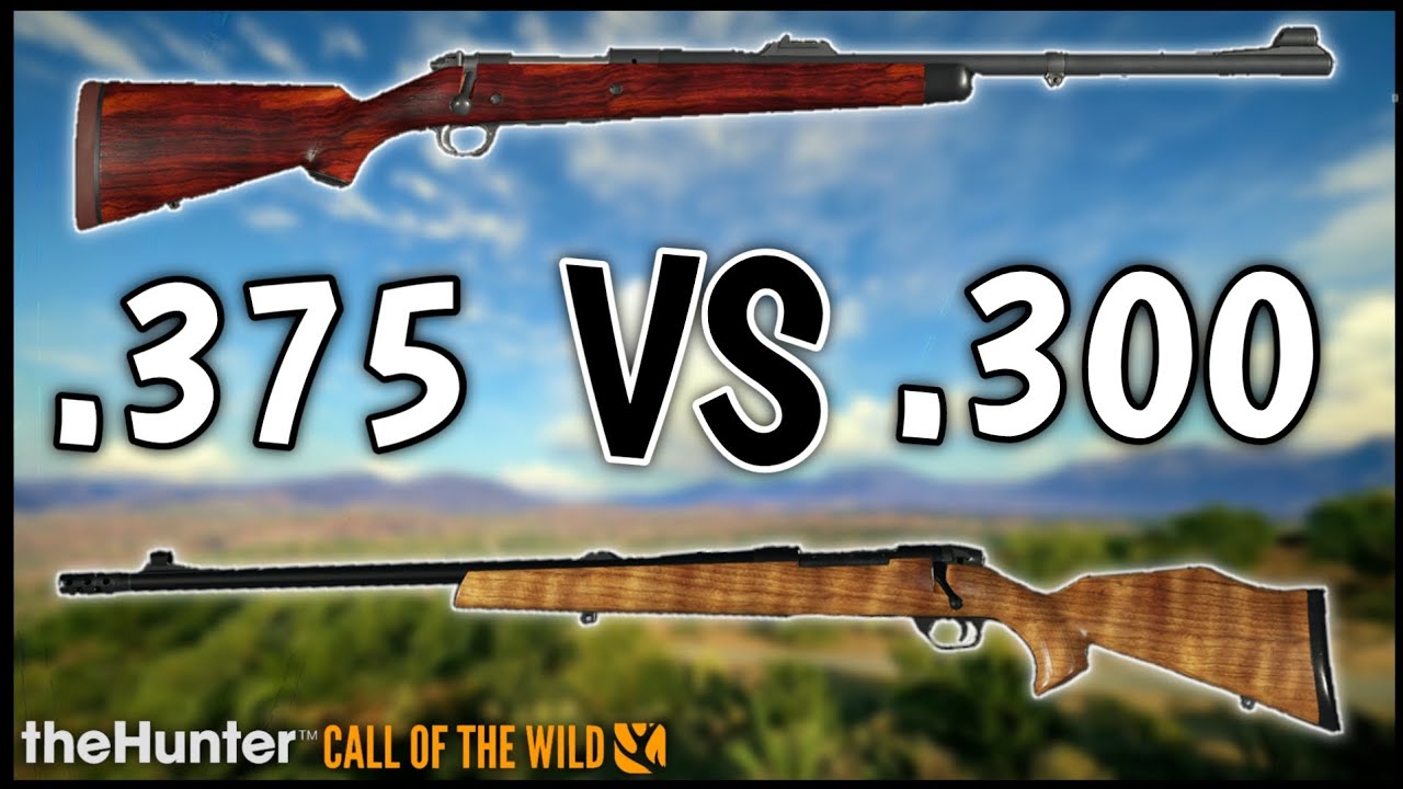 Is the .375 the NEW .300 Killer?? Weapon Comparison and Test - Call of the Wild