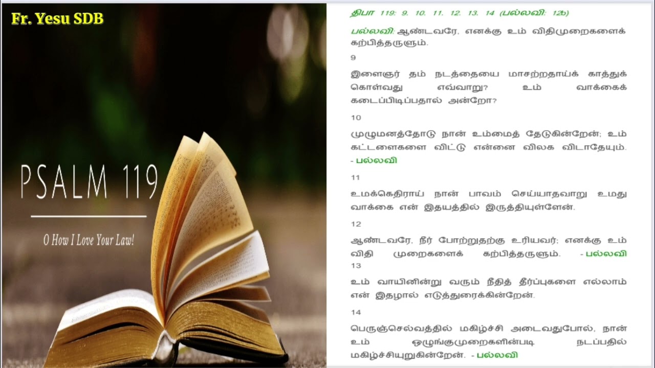 திருப்பலி திருப்பாடல்: 119. 9,10,11,12,13,14||பொதுக்காலம் நான்காம் வாரம் சனிக்கிழமை|| தியானப்பாடல்//