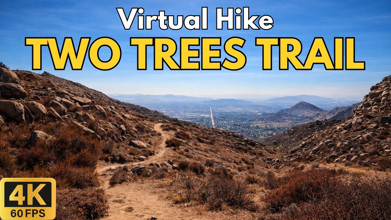 4K Treadmill Virtual Hike – Two Trees Trail Box Springs Mountain | 70-Min Scenic POV Nature Walk