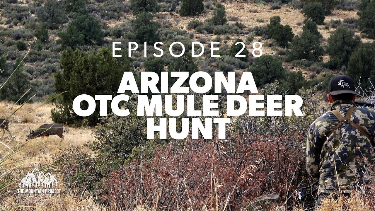 Public land... over-the-counter - Ep.28 - Arizona Archery Mule Deer