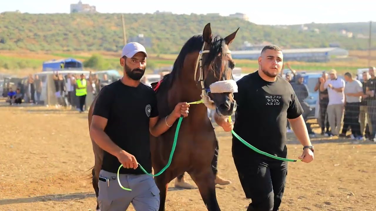 اشواط ميدان فلسطين - شوط جروب 1