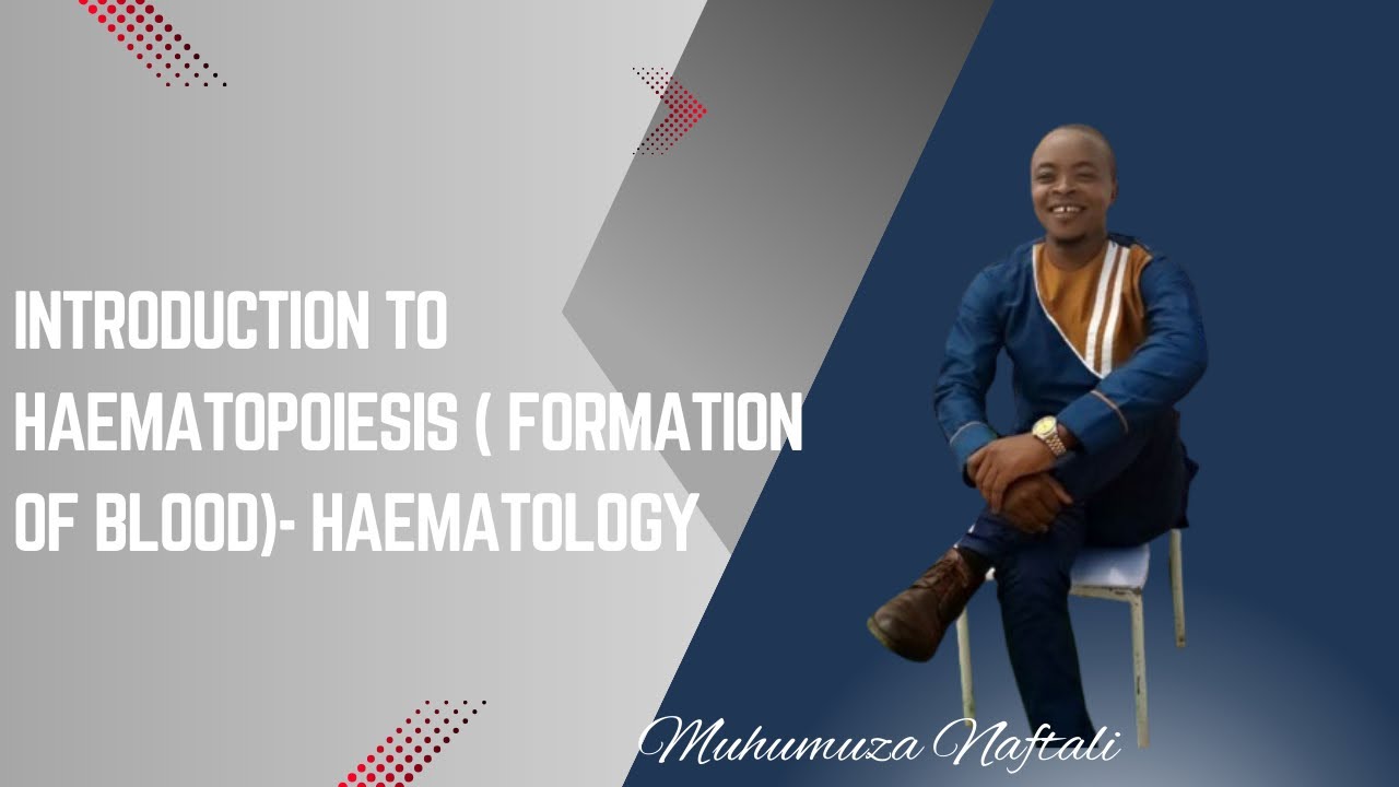 introduction to Haematopoiesis ( Formation of blood)- Haematology