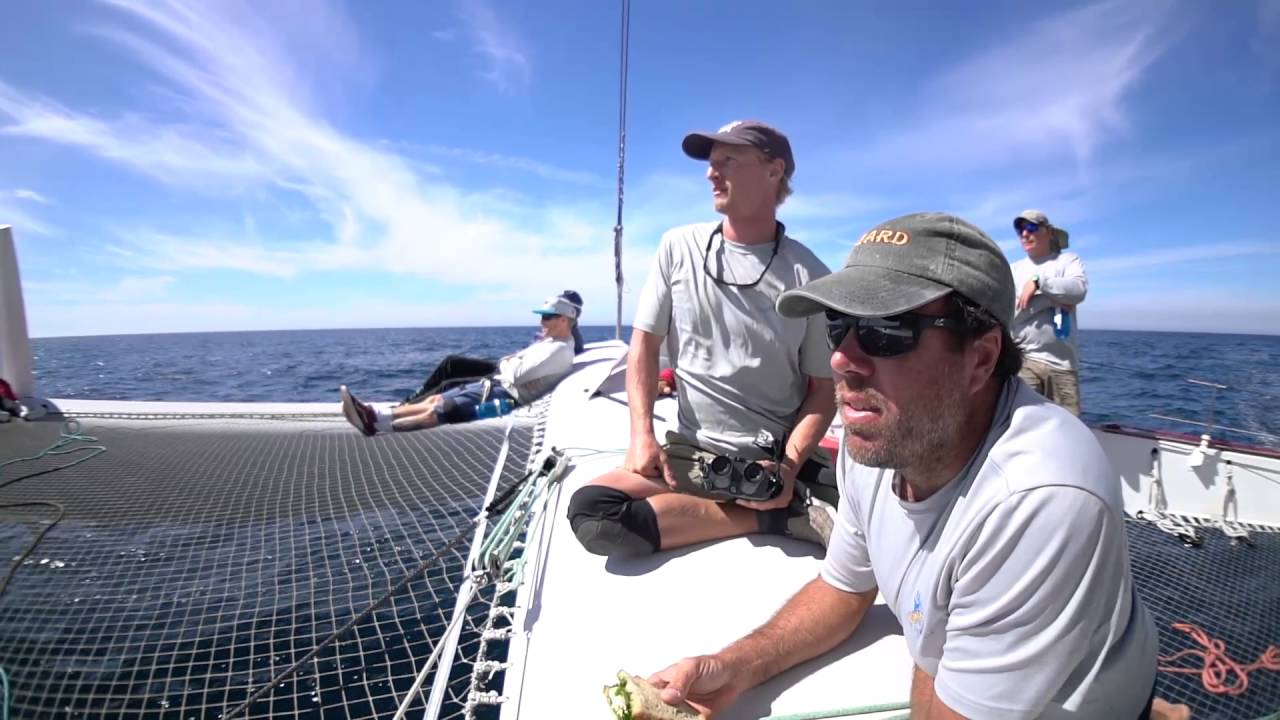 Extremely Fast Trimaran Sailboat - Mighty Merloe - San Diego to Ensenada Race -