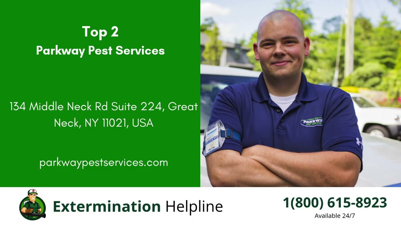 Top 3 Exterminators in Petersburg