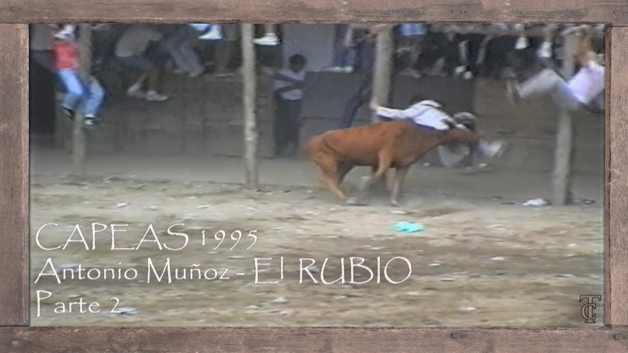 Capeas Segura de León 1995. Antonio Muñoz. El Rubio PARTE 2#shorts