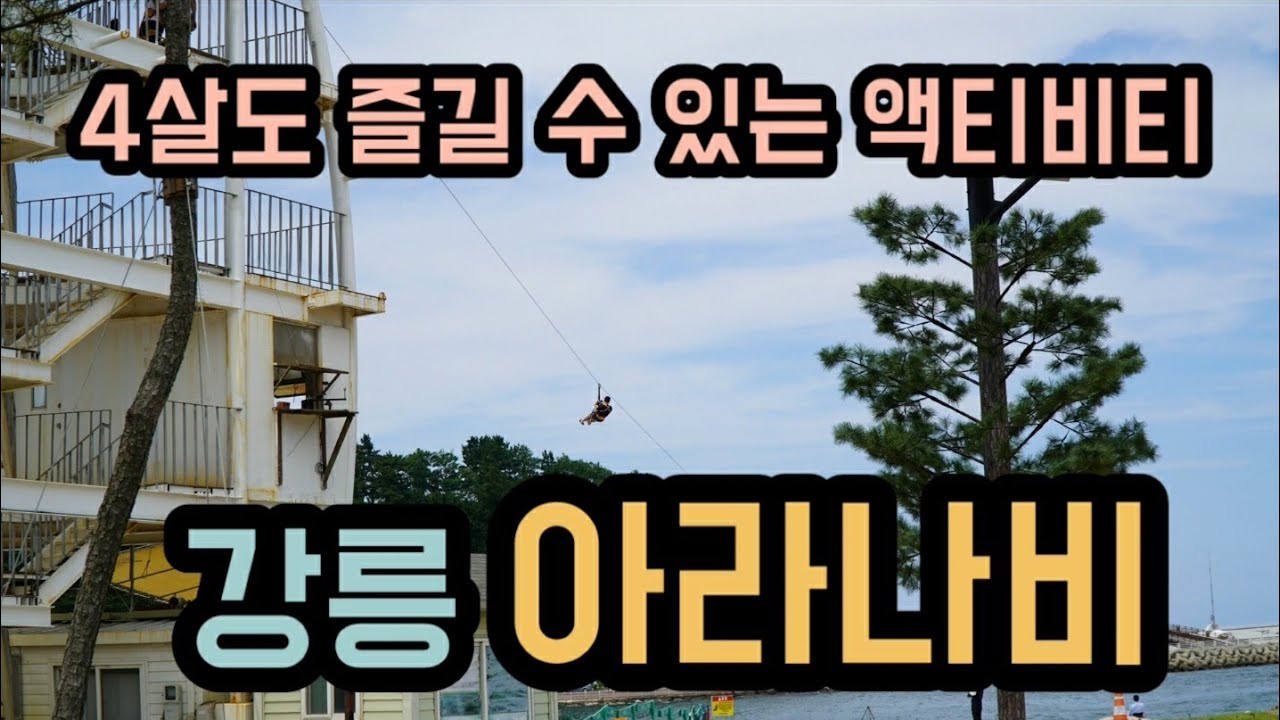 강릉에 오시면 꼭 타보세요! 강릉 아라나비