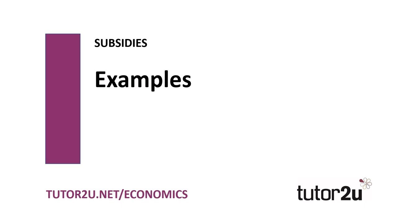 Subsidies - Examples of Subsidies | Economics Revision