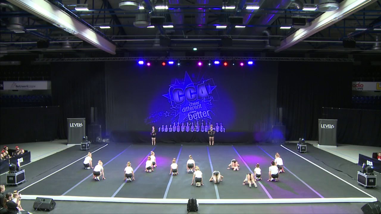 Little Hawks