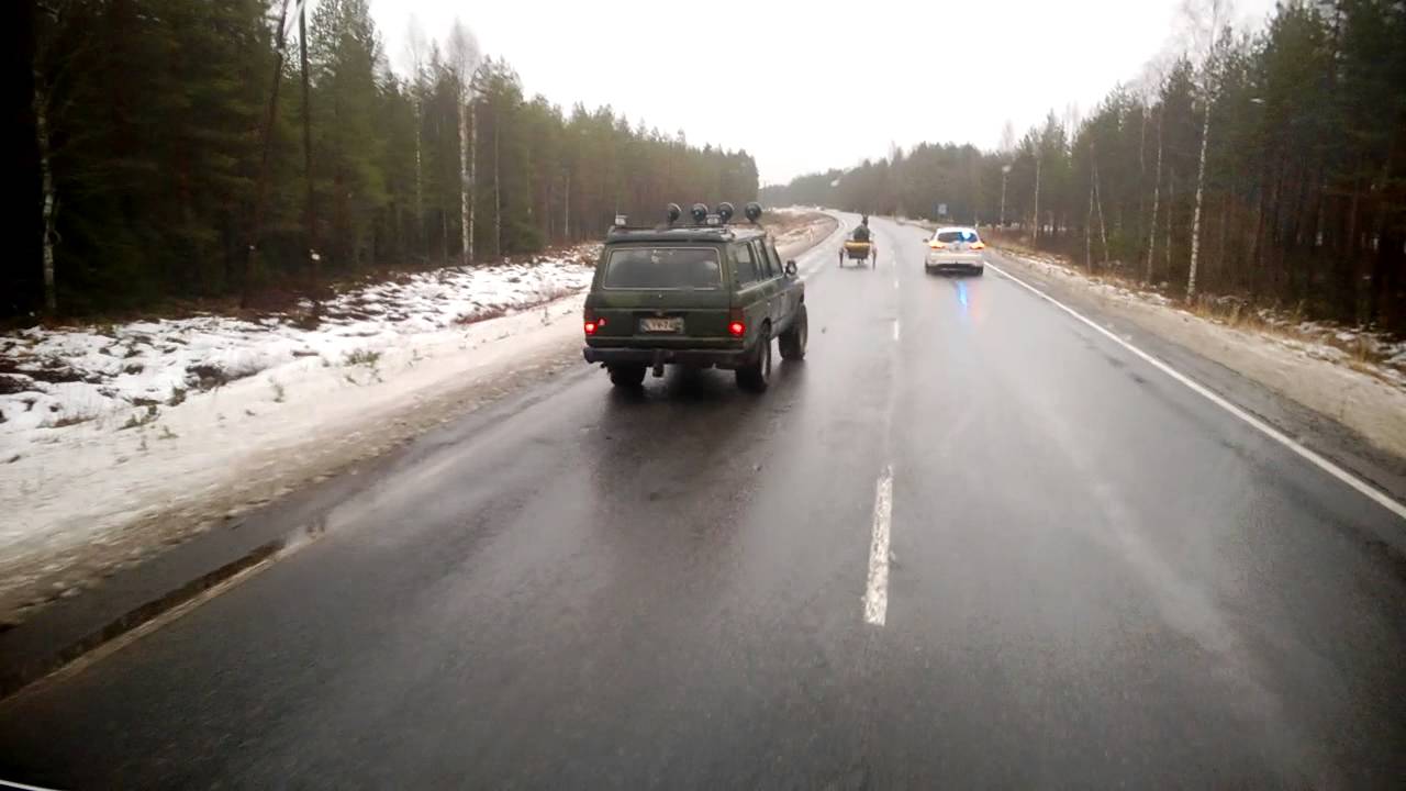Ravihevonen juoksi tiellä