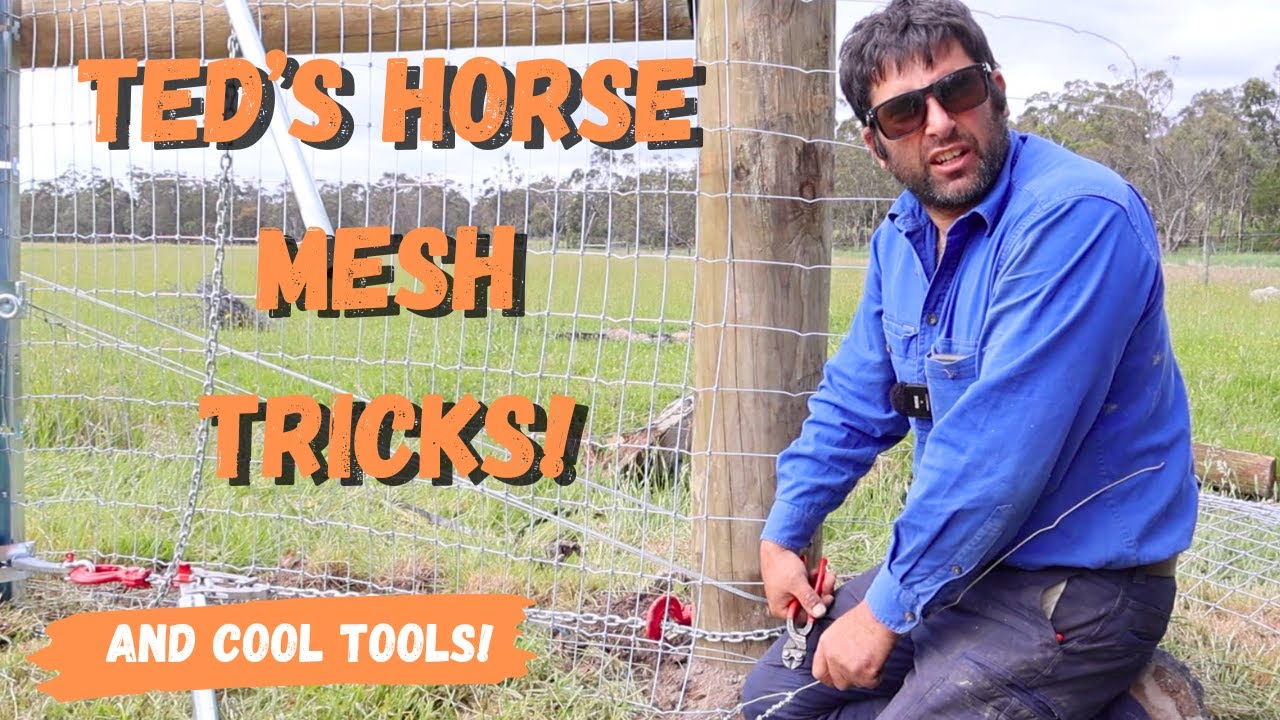 Hidden Farm Fence Horse Mesh Secrets Nobody Talks About