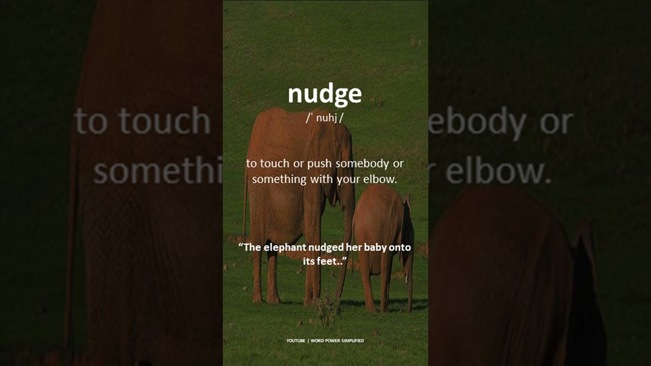 Word of the day | English meaning of nudge