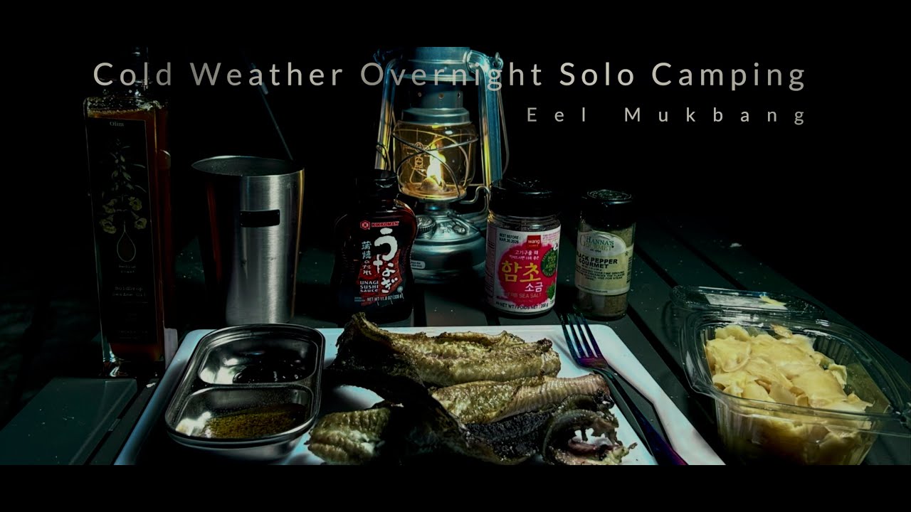 Overnight Cold Weather Camping & Eel Mukbang
