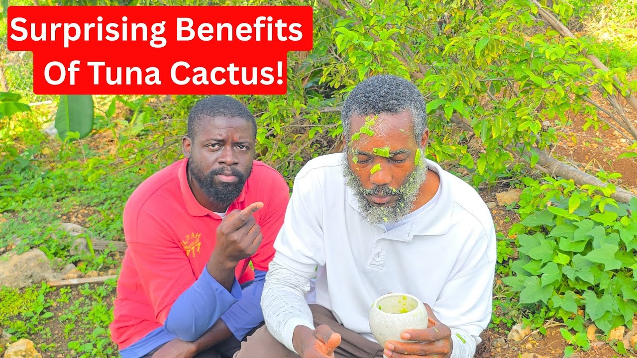 3 Powerful Ways To Use Tuna Cactus | For Skin, Sunburn, Winter Hydration & Hair Growth 
