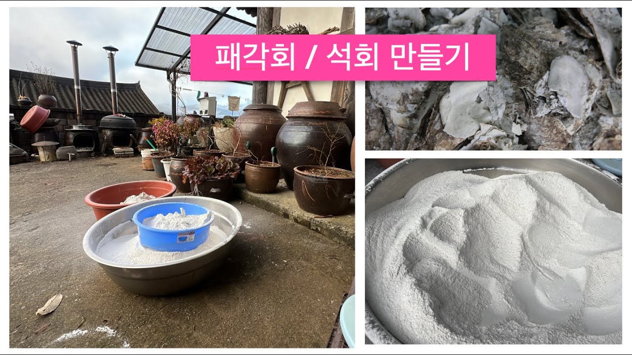 조개 껍질 패각회 / 석회 만들기