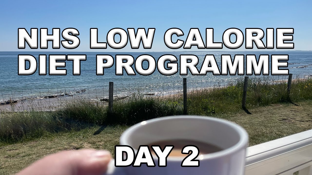 3 Months of Exante - Day 2! (NHS Low Calorie Diet Programme)