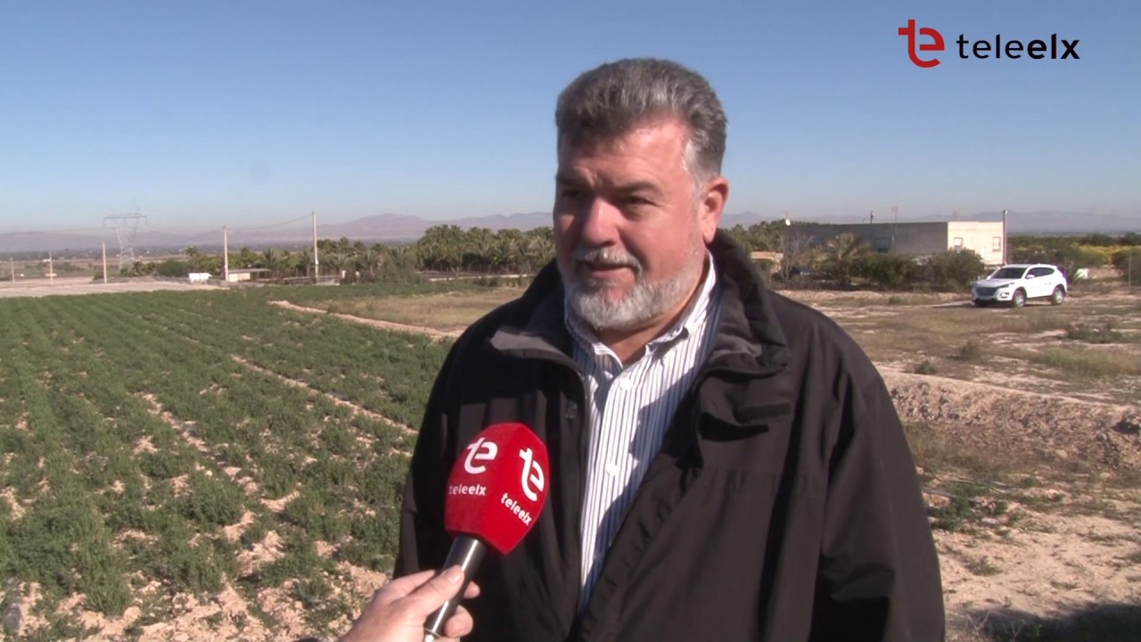 El Camp d'Elx | RIEGOS EL PROGRESO A EL MOLAR - 19/02/27