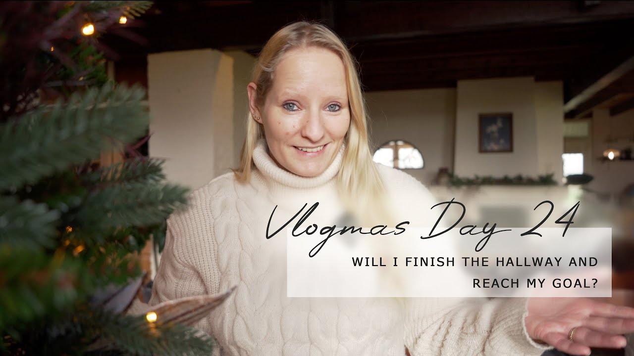 Final day of Vlogmas! Will I reach my goal!? :D - Vlogmas Day 24