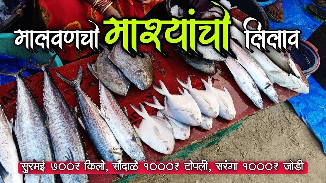मालवणचो माश्यांचो लिलाव #auction #fish #food #recipe #malvan