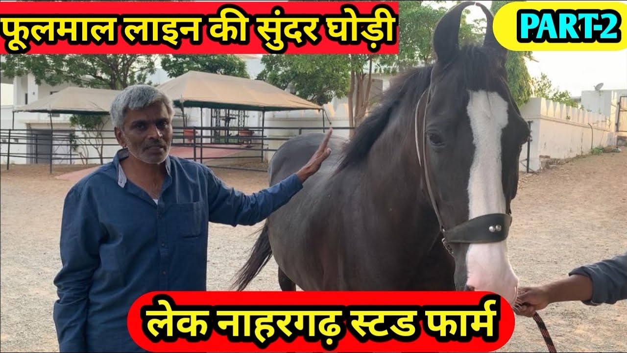 Lake Nahargarh Stud Farm