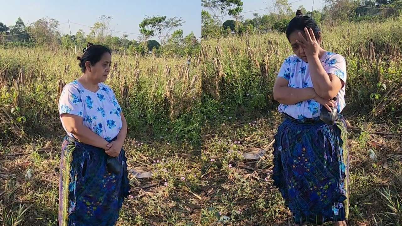 Mira lo que hara mi Esposa 😱 Vendera o regalará su terreno a sus hijo 😱 Esto fue lo que dijo