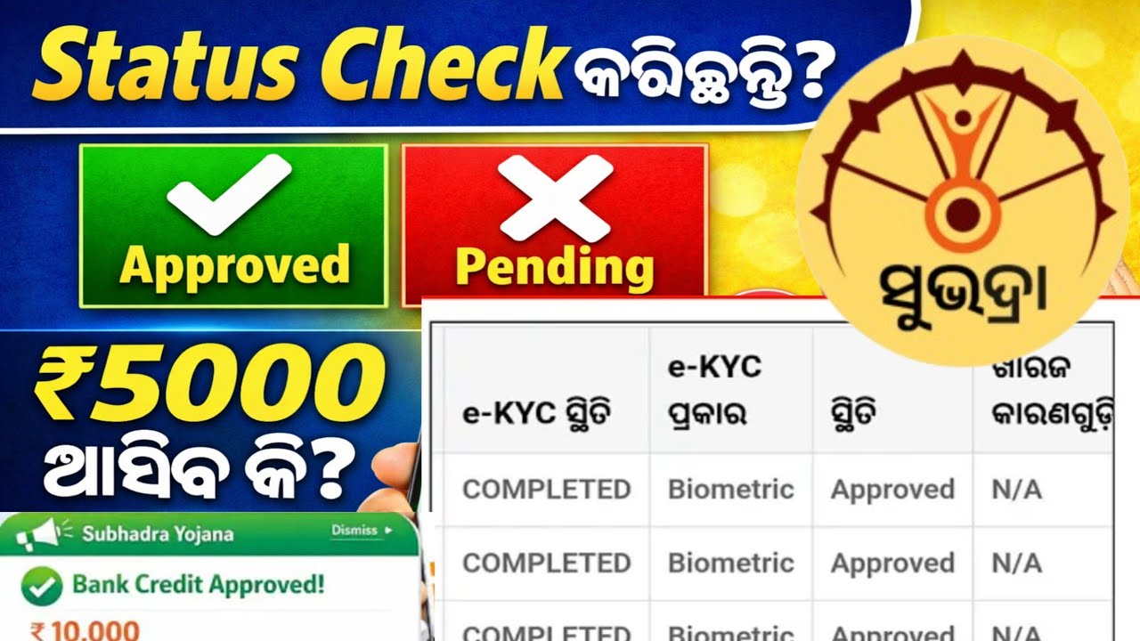 Subhadra Yojana Status Check 2026 🔎 ଆପଣଙ୍କ Application Approved କି Pending 📱 1 ମିନିଟ ରେ Check କରନ୍ତୁ