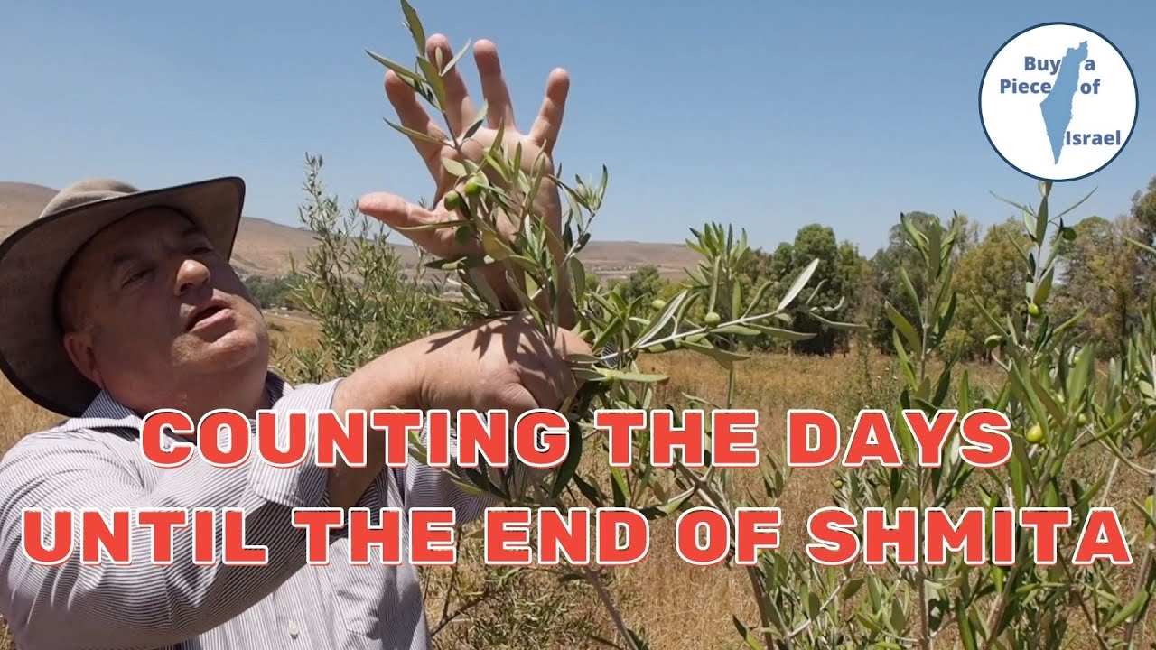 Shmita Year - Counting the Days Until the End of Shmita