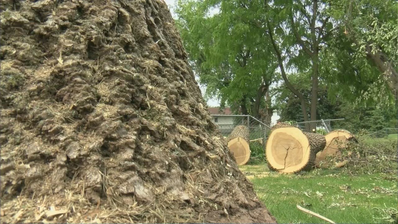 LIST: Tornadoes ravage WI, many reach wind speeds over 85 mph