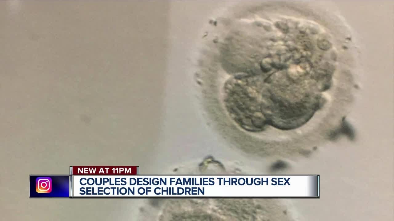 Metro Detroit doctor offers sex selection for families undergoing IVF