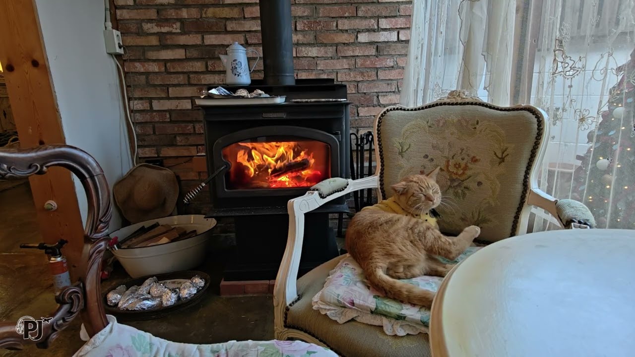 Lazy Cat and Fireplace | Relaxing 4K ASMR for Sleep & Focus | Perpetual Journey