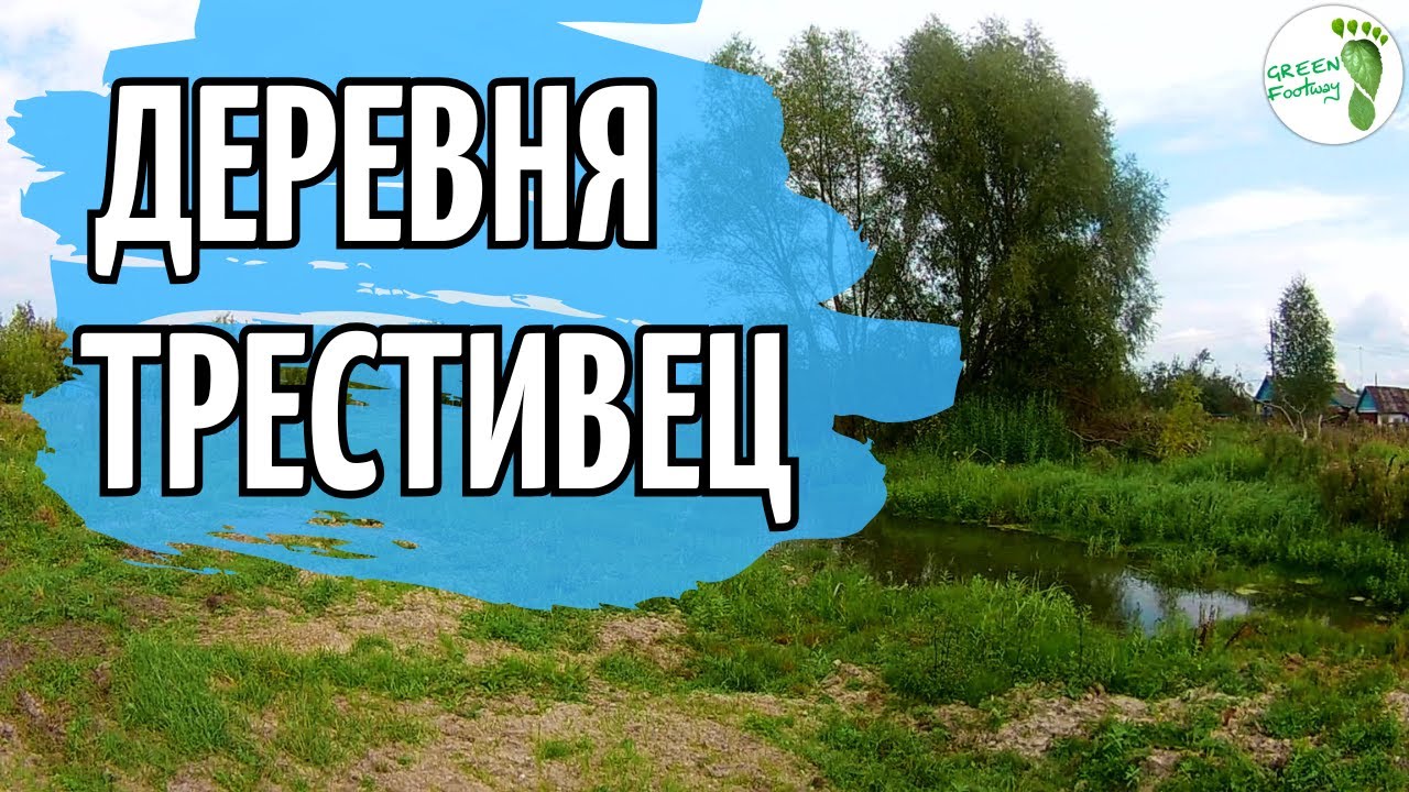За Быховом. Деревня Трестивец.