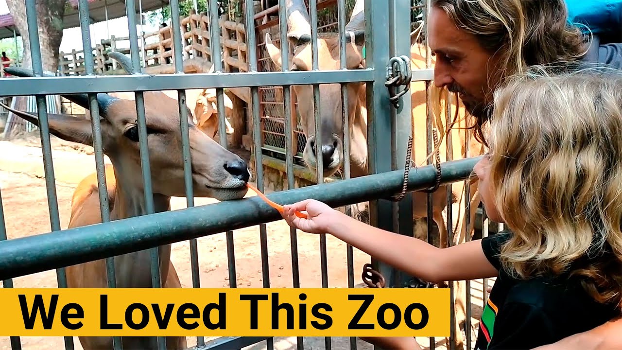 Amazing Zoo Day with My Family in Vietnam