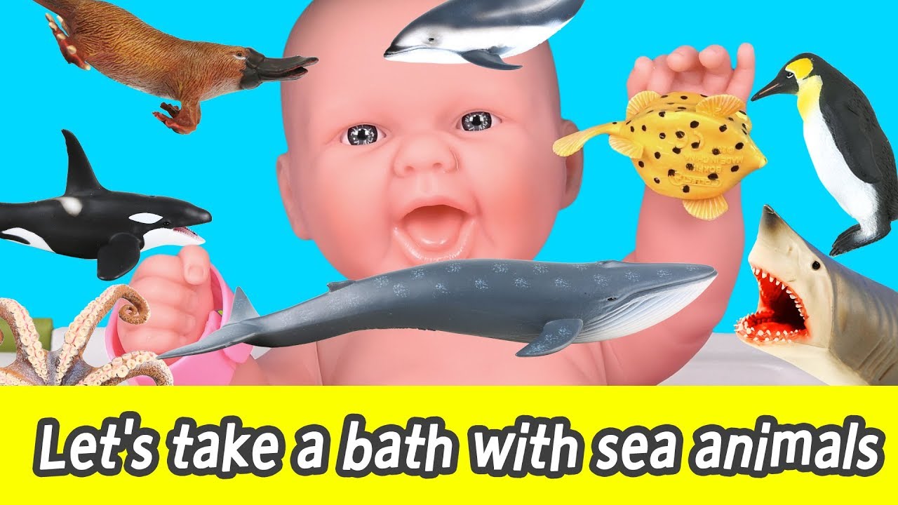 [EN] Let's take a bath with sea animals! whale names for kids, kids education, collectaㅣCoCosToy