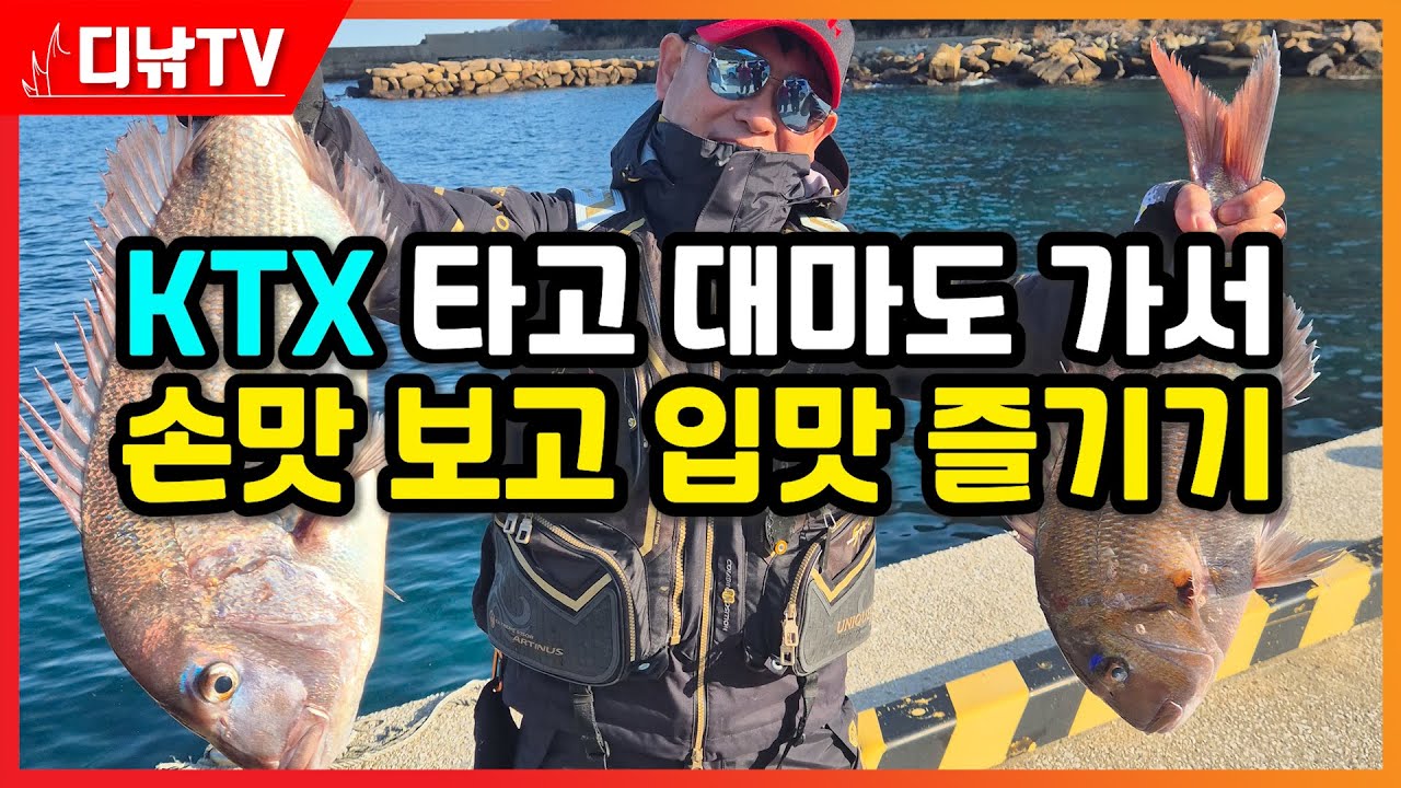 KTX 타고 대마도 가서 참돔 벵에돔 손맛 보고 무늬오징어 입맛도 즐기기 [디낚TV 취재브리핑]