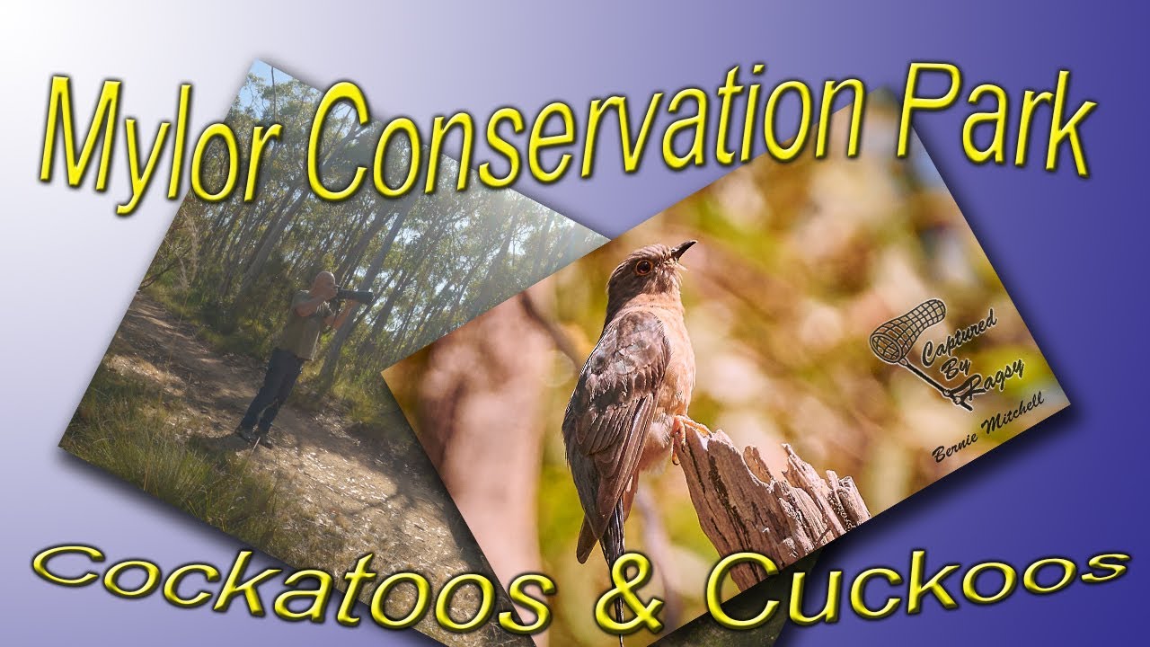Mylor Conservation Park in Under 10 Minutes!!!