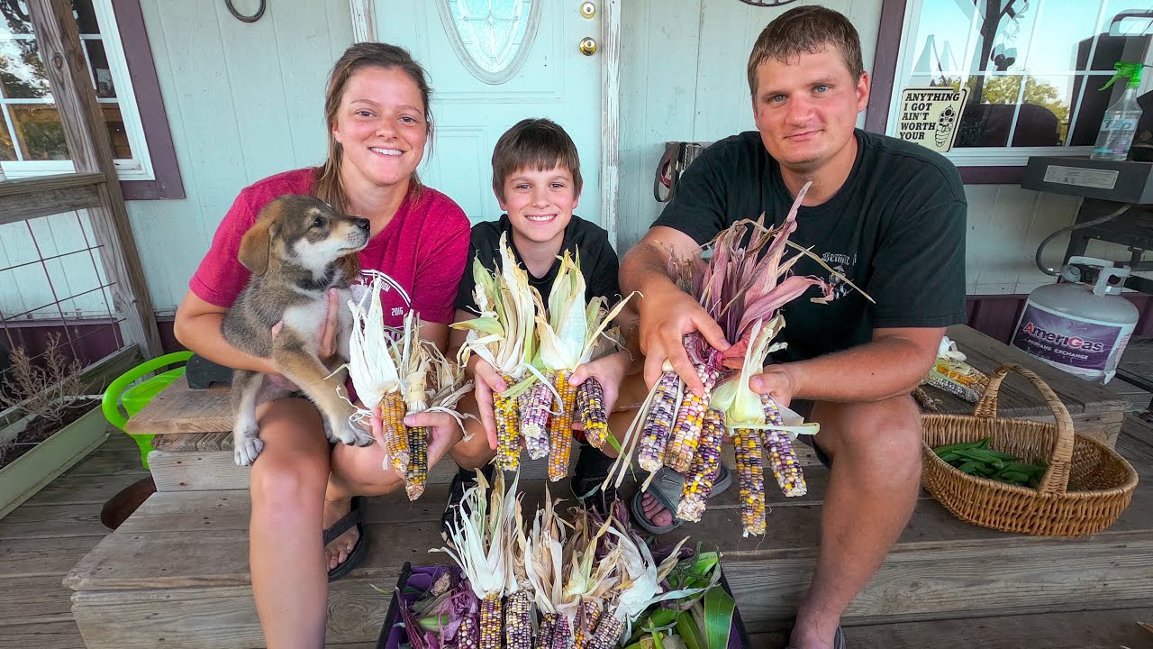 Our Most Beautiful Crop Yet! | Harvesting Glass Gem Corn As A Family!