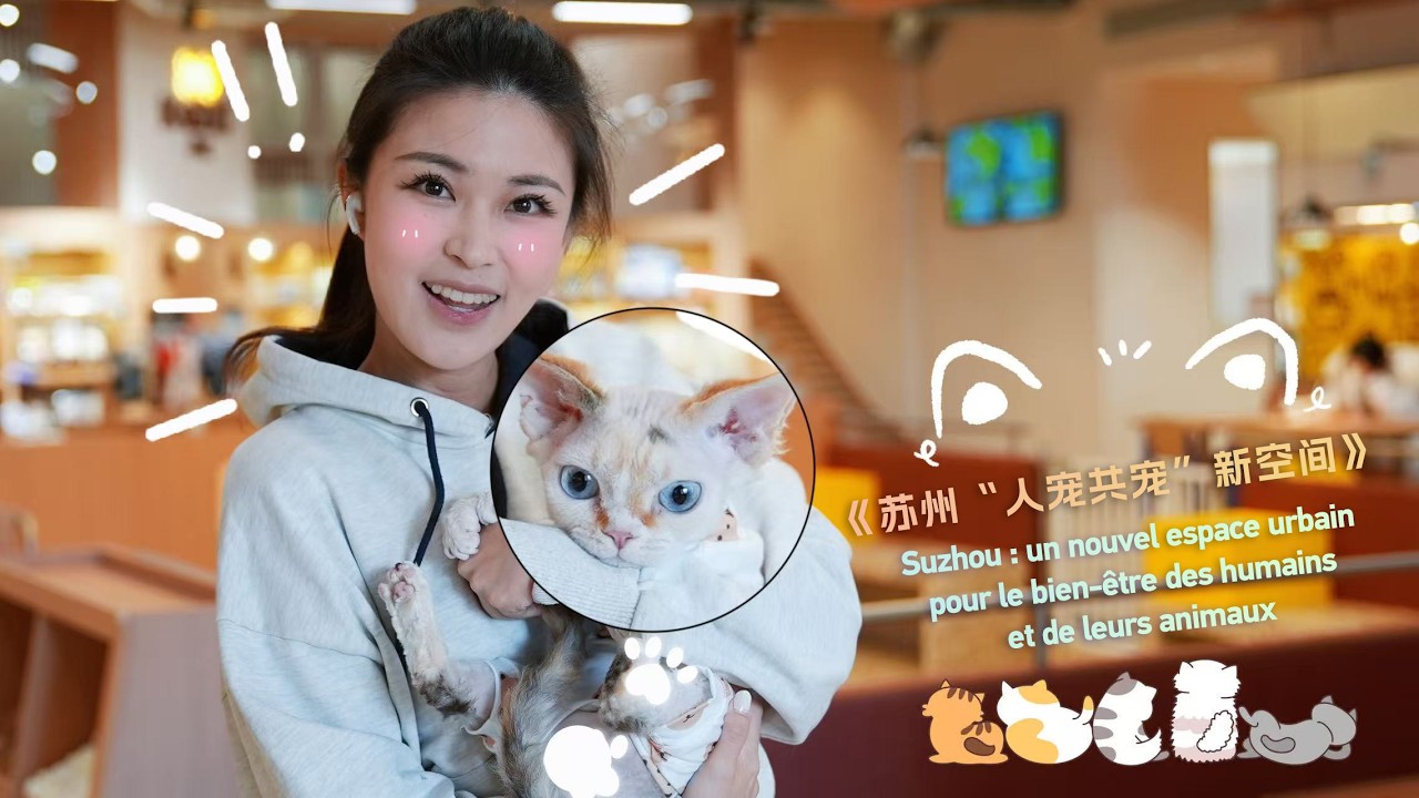 Suzhou : un nouvel espace urbain pour le bien-être des humains et de leurs animaux