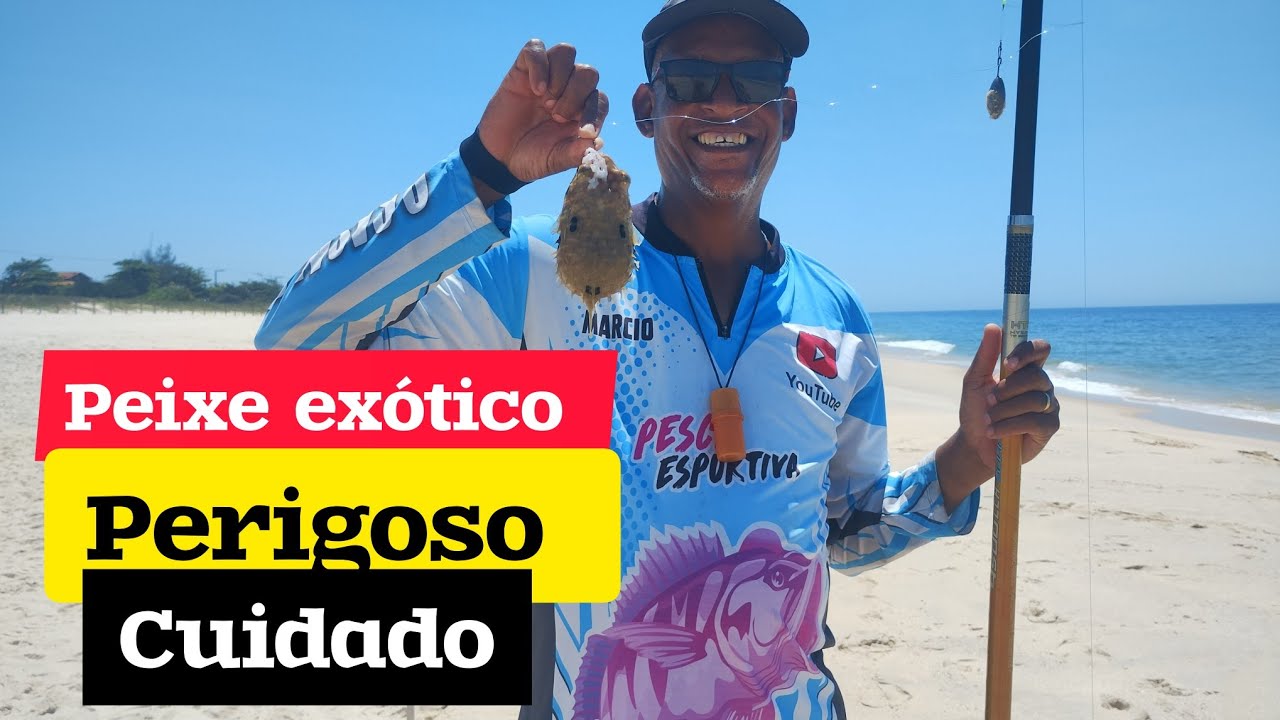  PEIXE EXÓTICO EM JACONÉ 