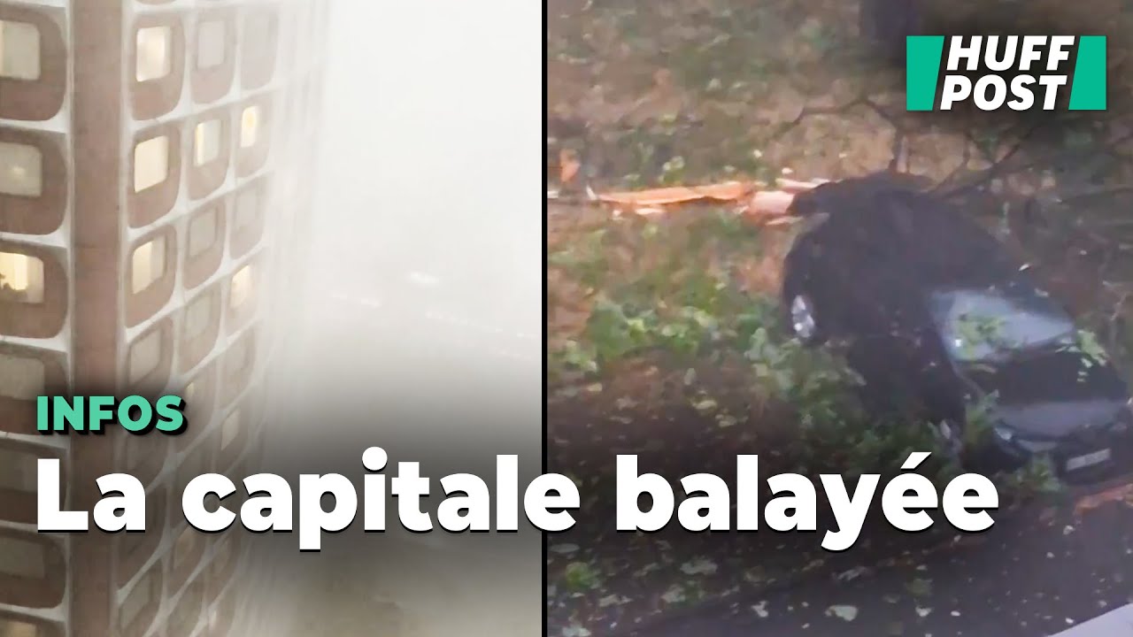 Orages à Paris : des arbres déracinés et des rafales à plus de 100 km/h