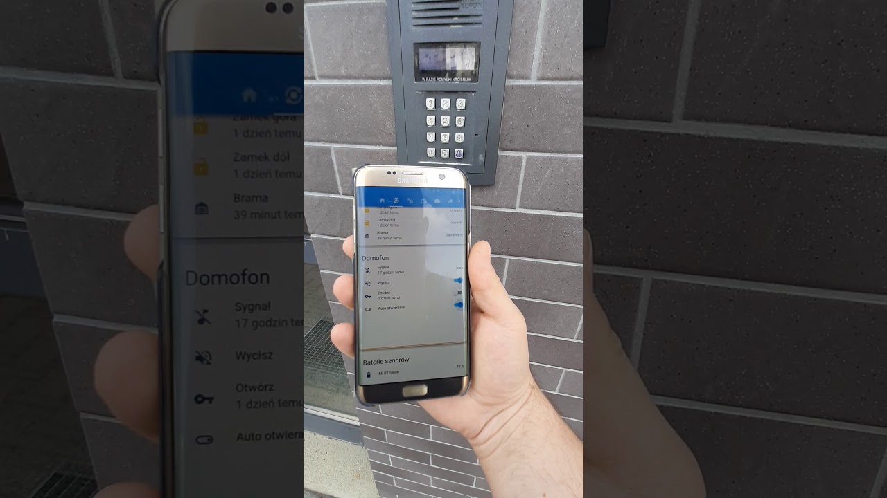 Home Assistant Intercom