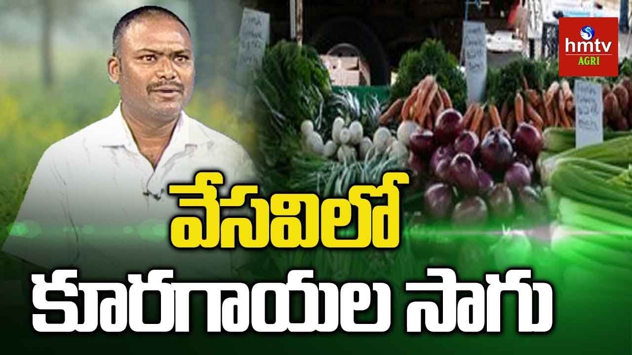 Summer Vegetable Farming Guide By Siva Prasad Raju | Natural Farming | hmtv Agri