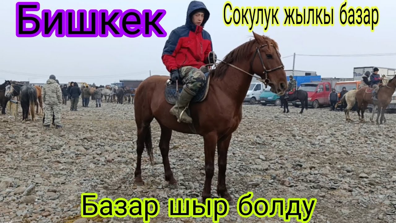 7-февраль Сокулук жылкы базар 