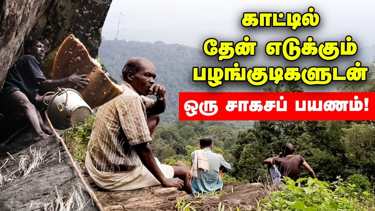 மேற்குத்தொடர்ச்சி மலை: காட்டில் தேன் எடுக்கும் பழங்குடிகளுடன் ஒரு சாகசப் பயணம்!