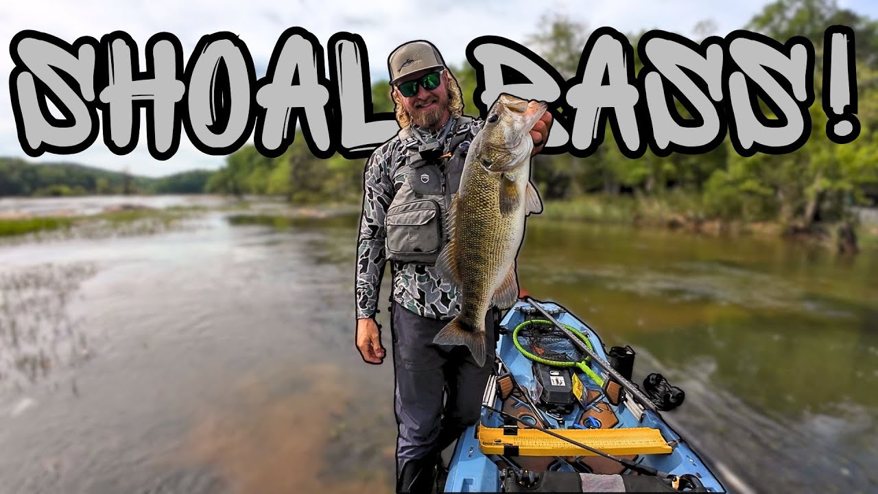 Fishing for Big Shoal Bass In The Bonafide RVR119