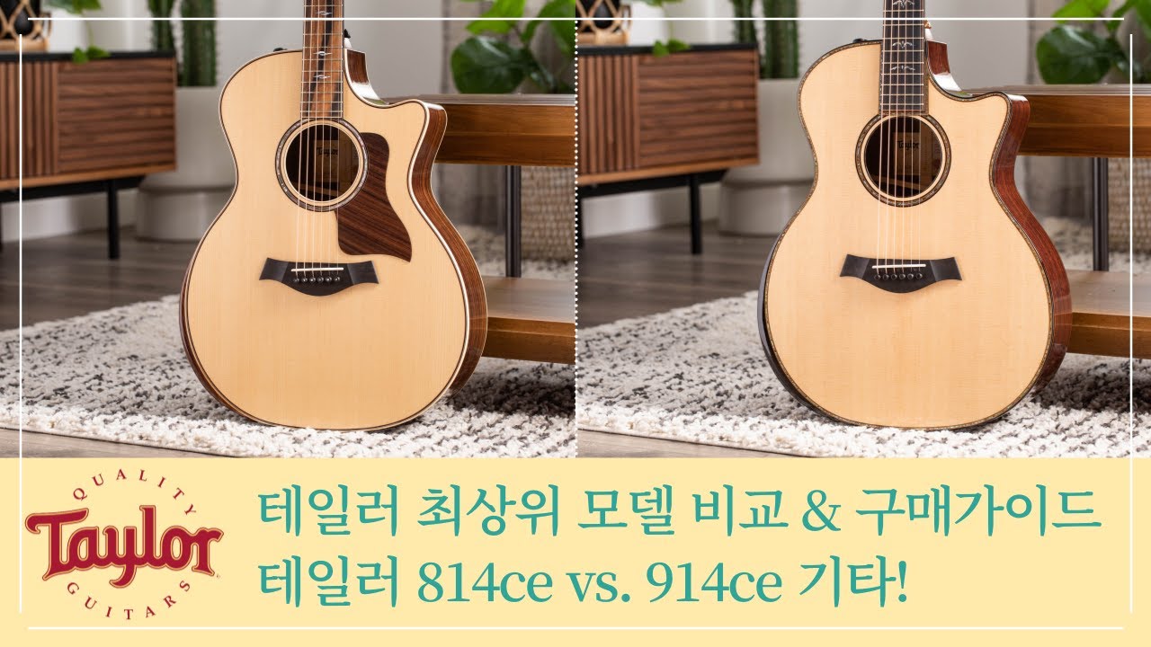 [테일러기타] 테일러 814ce vs. 914ce 기타 비교 (Taylor 814ce vs. 914ce Guitar)