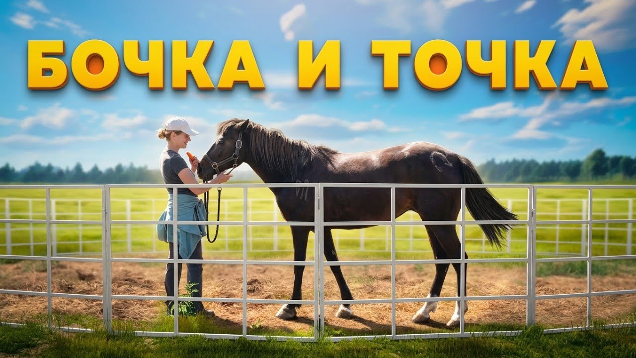 Сборно-разборная КОНСТРУКЦИЯ | БОЧКА для РАБОТЫ с ЛОШАДЬМИ