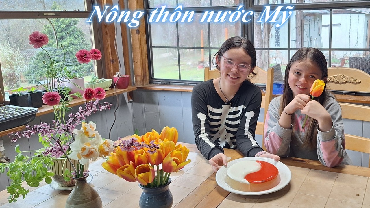 #368 Bún thịt xào, chả giò, rau câu dừa\ Ngày mưa bão ở nông thôn nước Mỹ