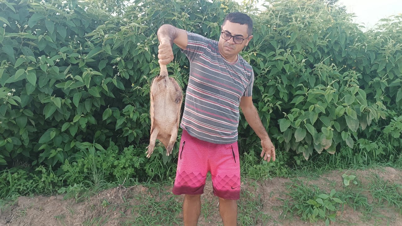 TEM TANTOS QUE ELES ESTÃO COMEÇANDO A INVADIR AS ESTRADAS 