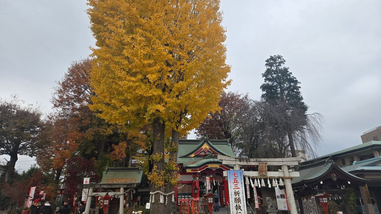 Kawagoe Autumn with 5 shrines&temples