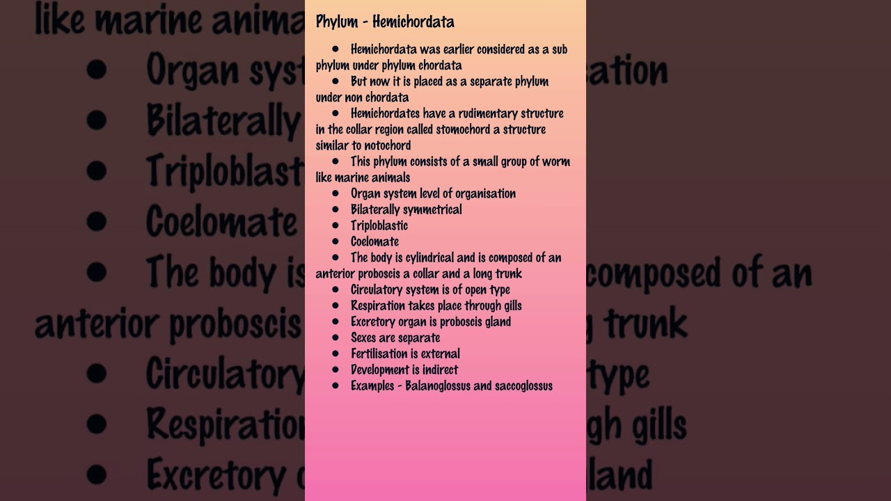 Animal kingdom : Phylum Hemichordata #class11biology #ncert #shortnotes #shortvideo